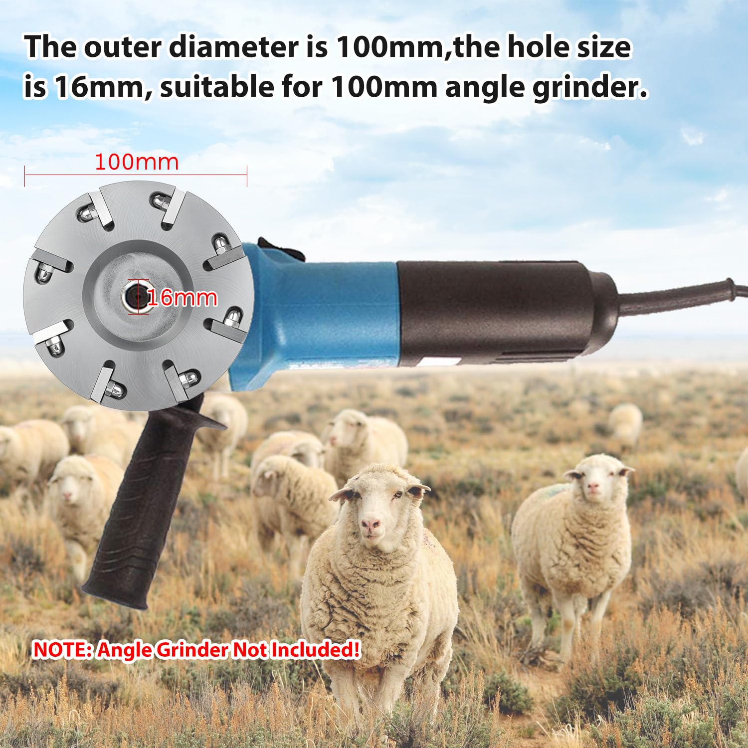 Disco de Recorte de Pezuñas para Ganado, Herramienta Cuchillo Eléctrico Metal Resistente con 8 Cuchillas para Amoladora Angular el Cuidado las Pezuñas Ganado Equino