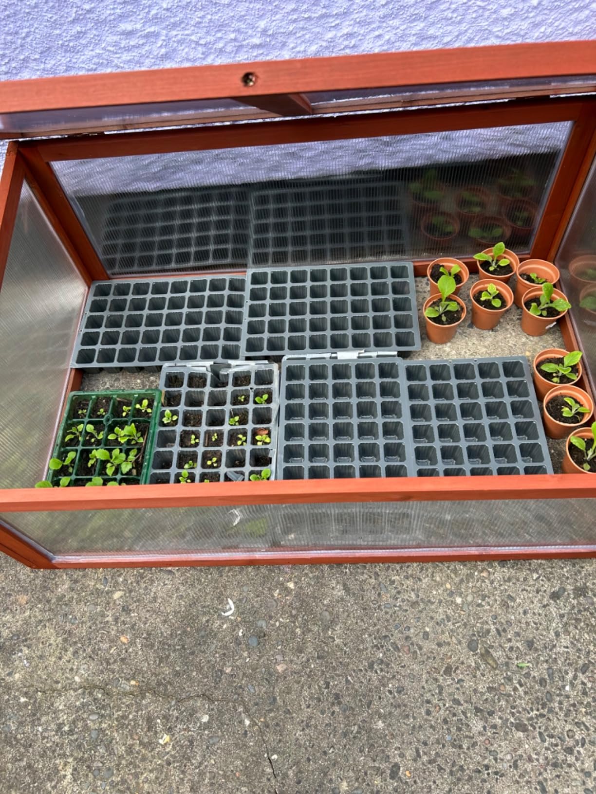 Fits plenty in there