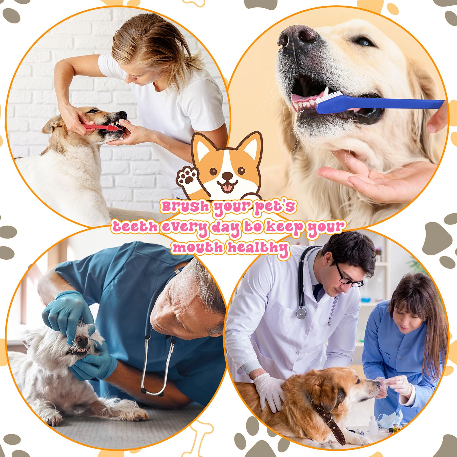 Honeydak Zahnbürsten für Hunde, Doppelköpfe, Zahnbürsten-Set, langer Griff, für Welpen, große und kleine Katzen, die meisten Haustiere, Zahnreinigung, Zahnpflege-Zubehör, 600 Stück, 15 Farben