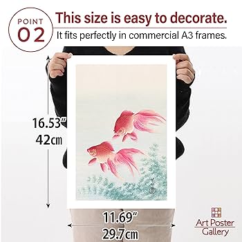 Amazon.co.jp: 【日本製】ポスター 日本画 大原コソン「金魚