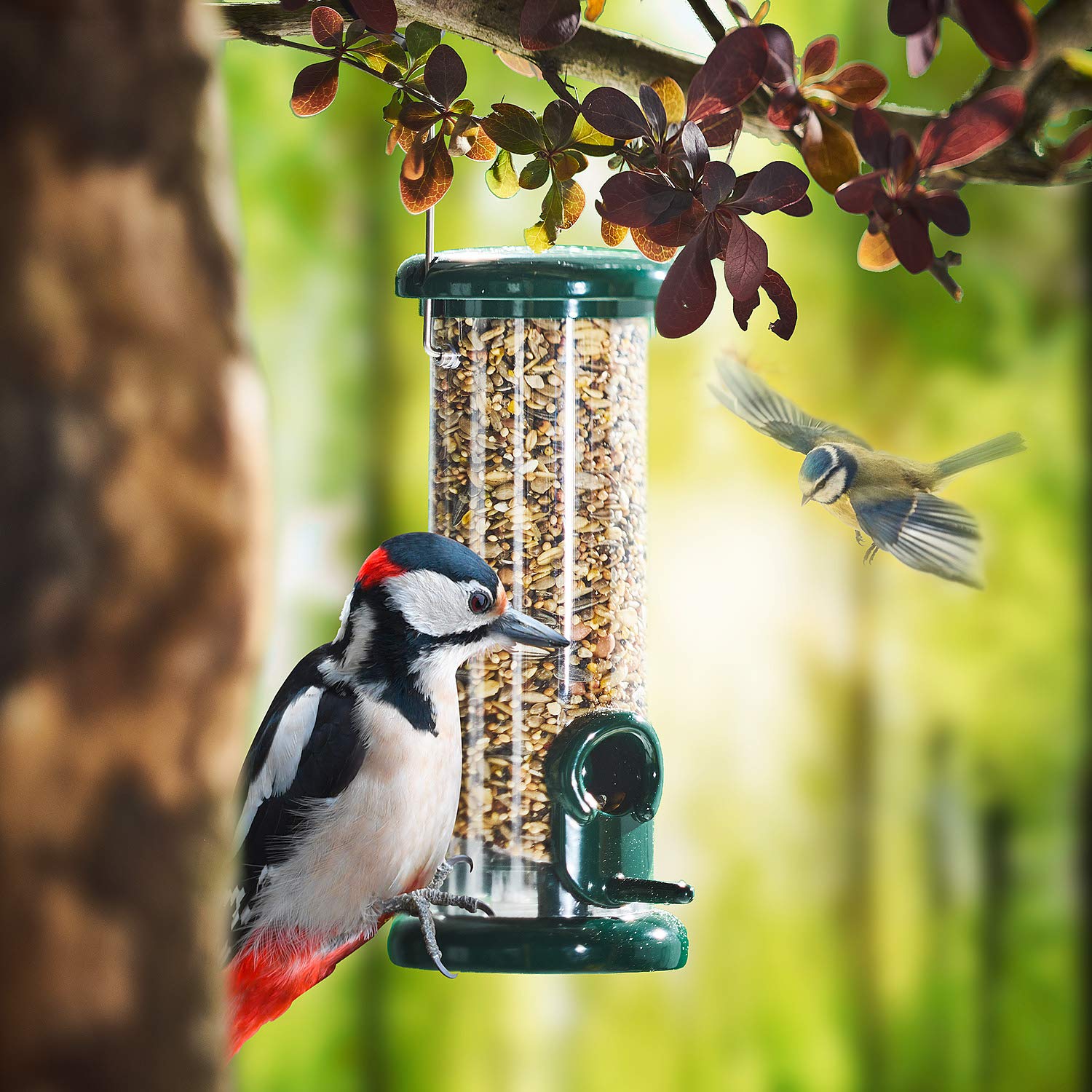 Paul's Mühle Wildvogelfutter, Ganzjahresfutter für Wildvögel, 4-Jahreszeiten, 25 kg