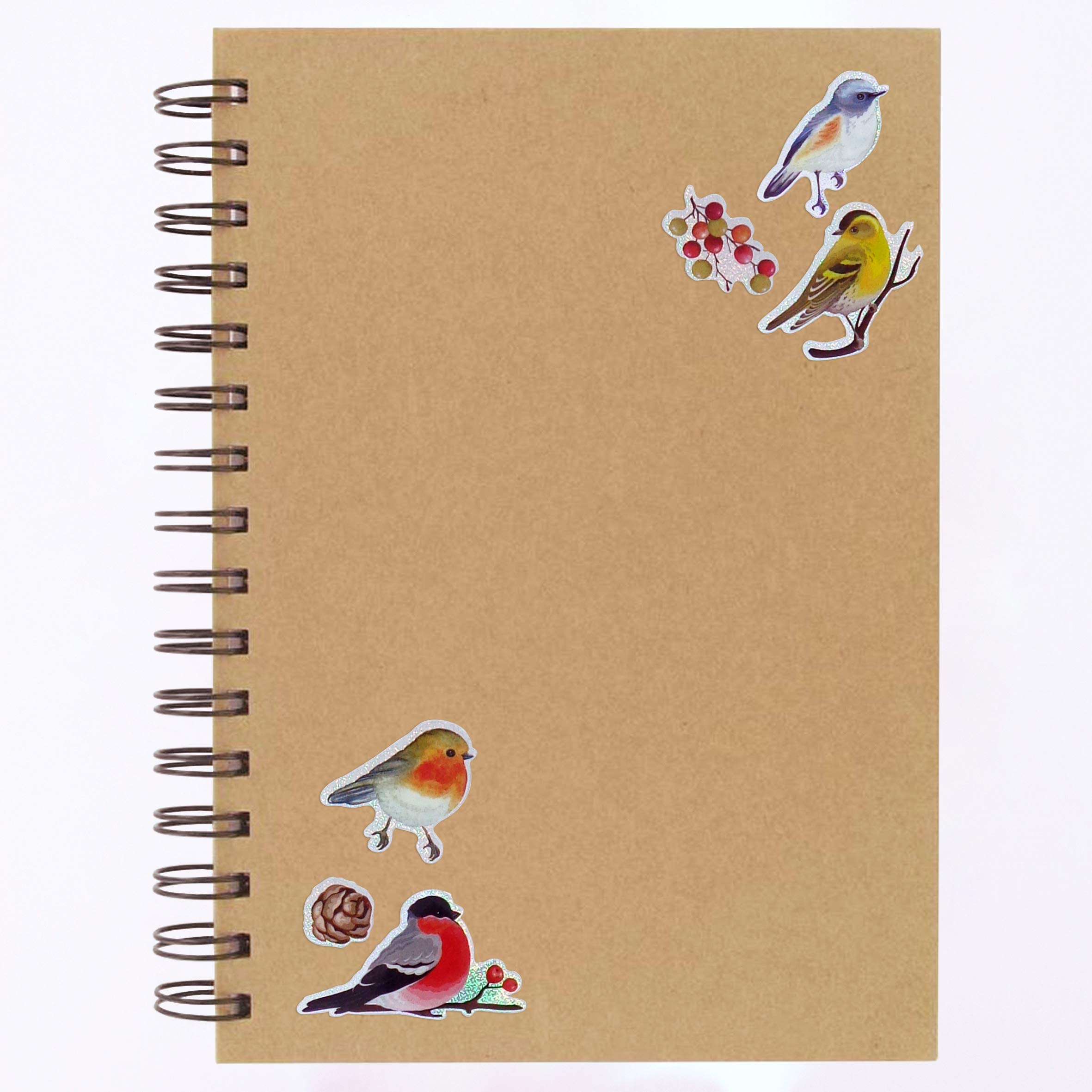 Garden Bird Stickers For Children, Kids, Toddlers, Adults - Scrapbook Craft Decorating Activities And Party Bag Filler Favours - Fun Cool Cute Sticker Pack For Boys Girls