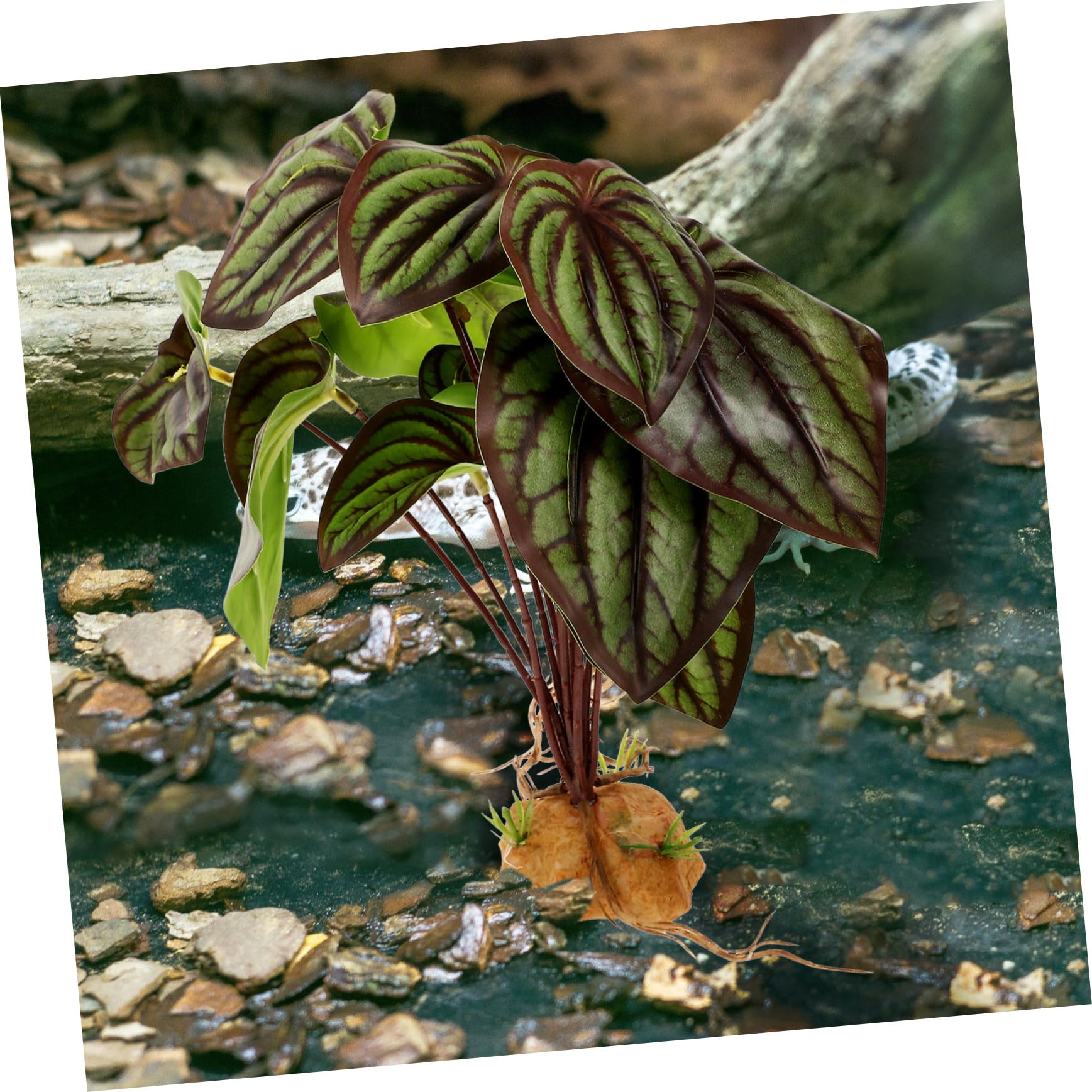 VICASKY Artificial Reptile Plants for Terrarium Decor Vivid Aquarium Landscaping Plants with Weighted Base Durable Habitat Decoration for Bearded Dragon Gecko Snake and Tortoise