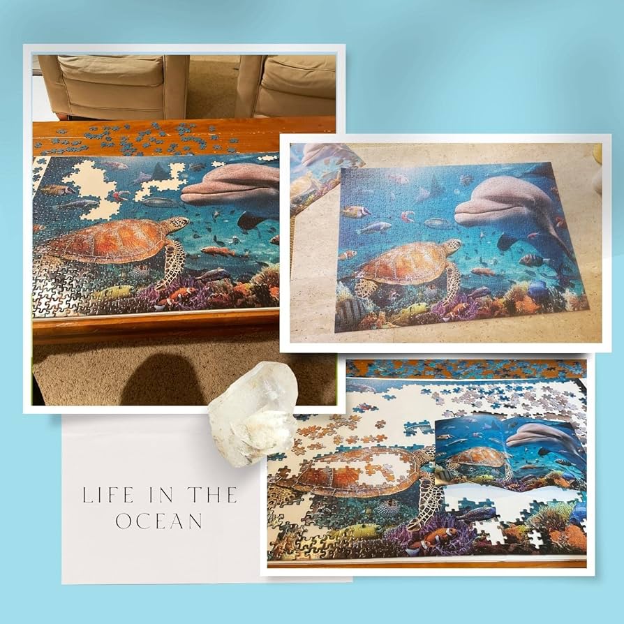 イルカと魚のパズル Amazon | イルカとウミガメ 1000ピース パズル 大人 ティーン