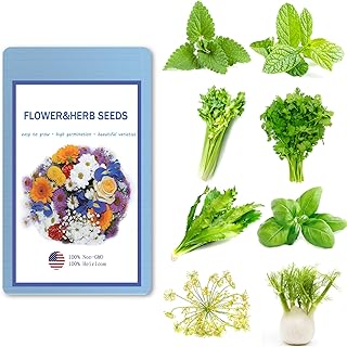 Herb Seeds for Planting, 7Pack 2000+ Include Dill, Italian Parsley, Genovese Basil, Cilantro, Culantro, Fennel, Mint, Lemo...