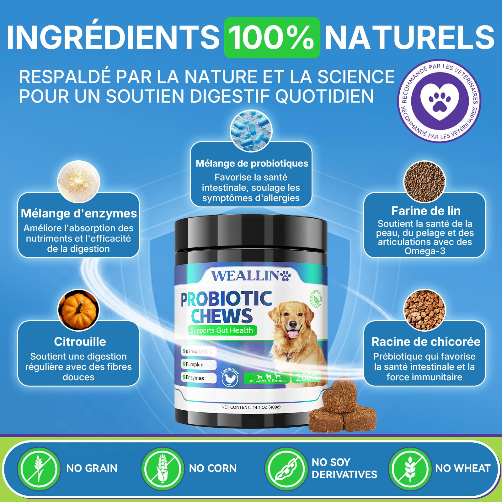 WEALLIN Probiotiques pour Chiens, Prébiotiques pour la Santé Intestinale – Soutient la Santé Digestive et l’Absorption des Nutriments – 200 Bouchées Moelleuses Qui Soutiennent la Santé de la Peau