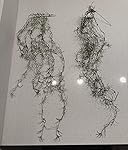 Review Image by paco nunez paco nunez