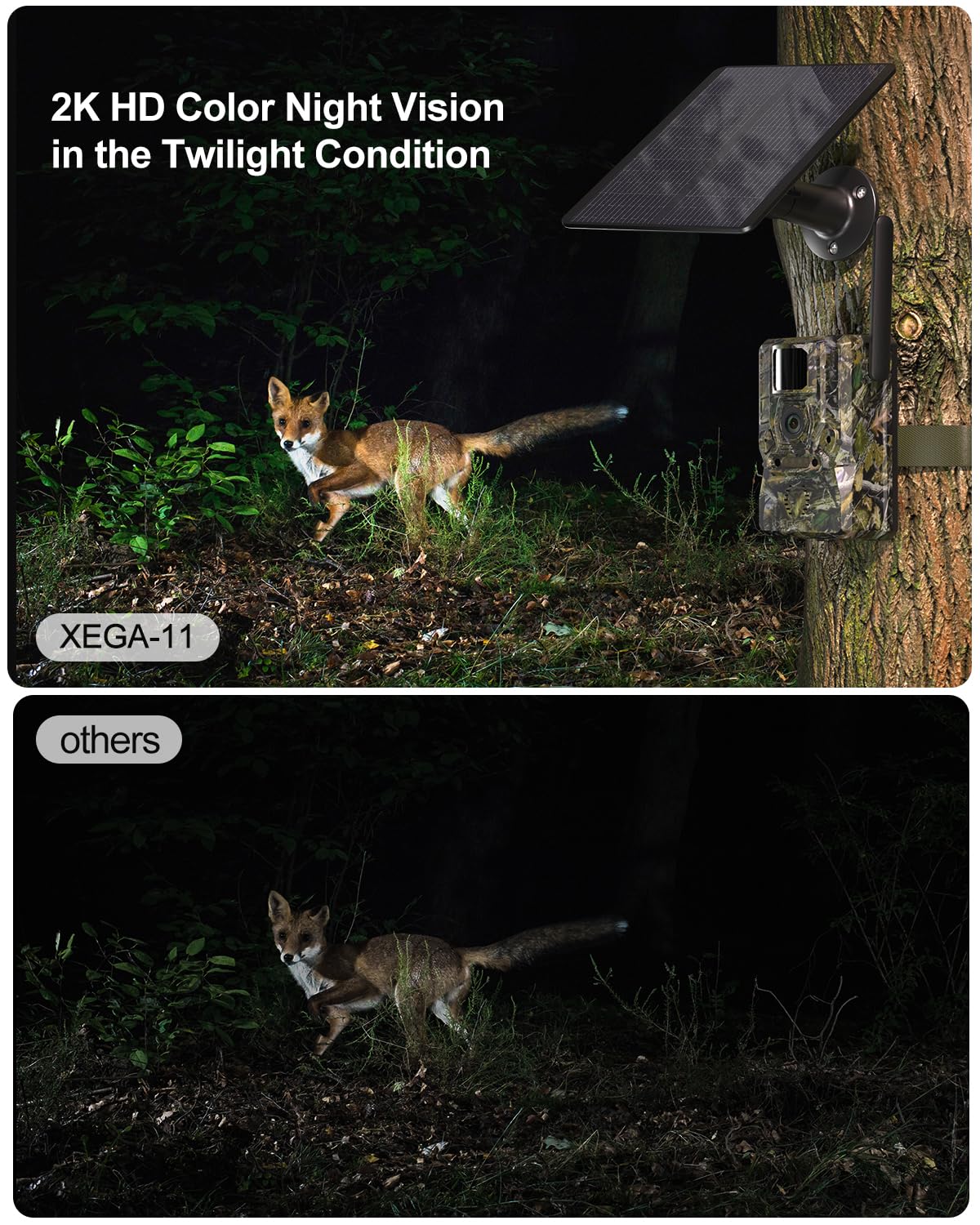 Xega 4G LTE Wildlife Camera with App and Motion Sensor, 2K Solar