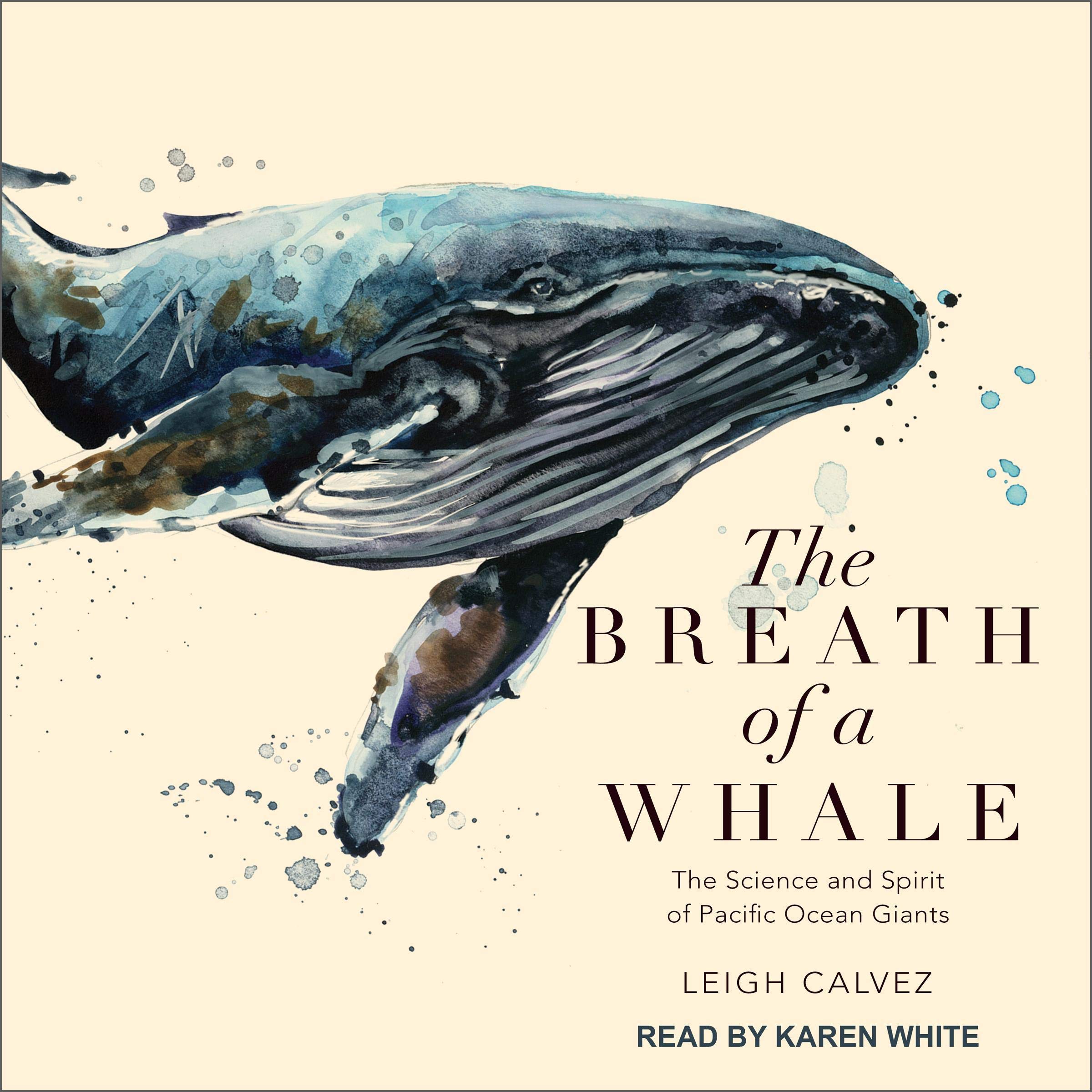 Cover art for The Breath of a Whale