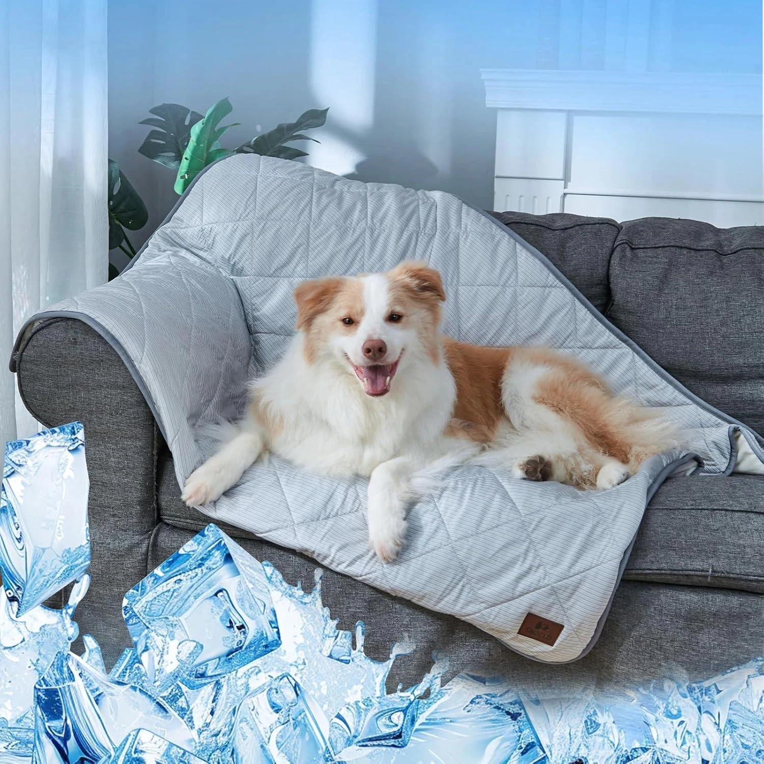 Double-Sided Cooling Blanket for Dogs: Cool with Q-MAX>0.4 on one side and Soft on the other. Waterproof and Washable Cooling Mat for Sofa, 60 x 47 cm, Ideal for Small Pets