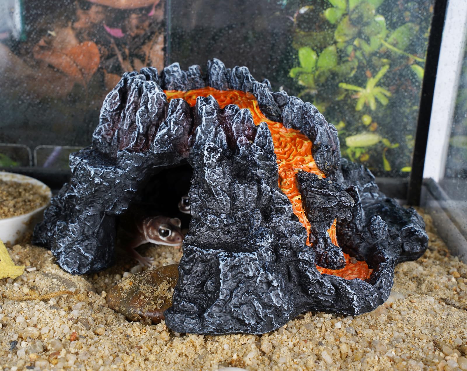 Reptile Cave Hideout Habitat, Great for Bearded Dragons, Leopard Geckos, Lizards, Turtles, Snakes, Frogs, Scorpions, Spiders and Other Reptiles, Amphibians (C - Medium) — view 4