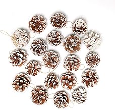 Pine Cones