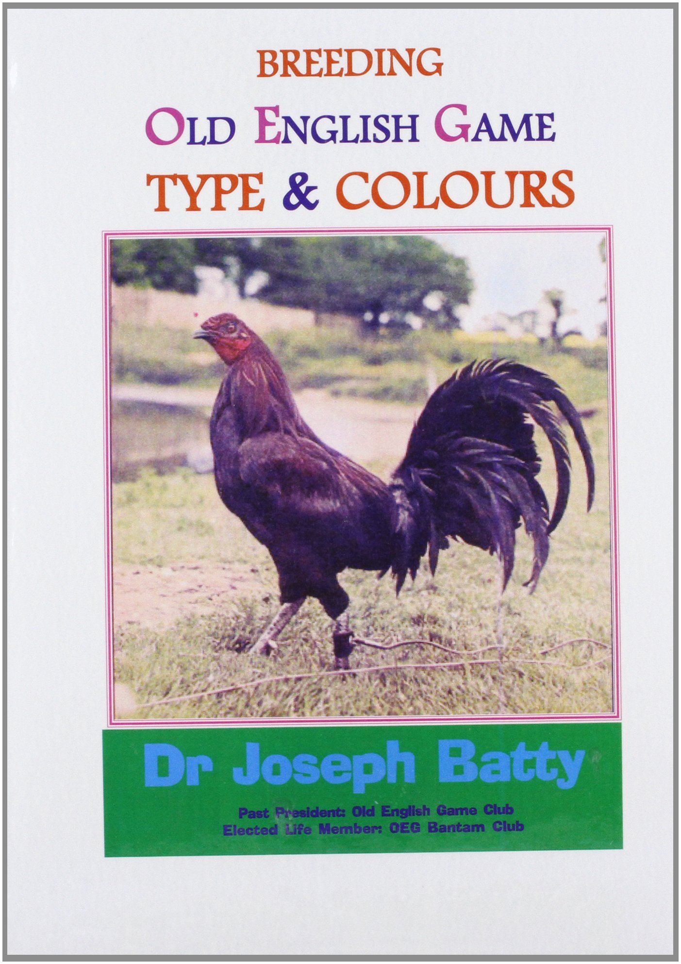 Buy Breeding Old English Game: Type & Colours (International Poultry  Library) Book Online at Low Prices in India | Breeding Old English Game:  Type & Colours (International Poultry Library) Reviews & Ratings -