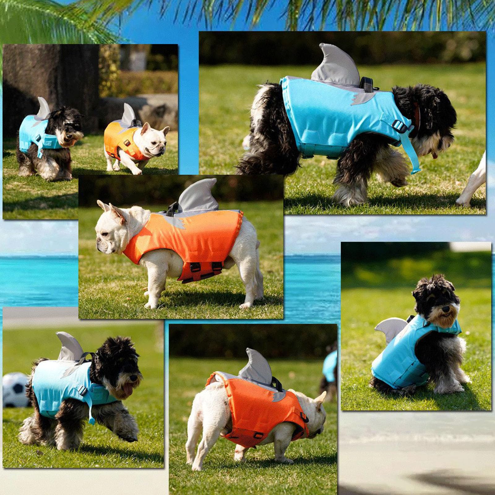 Traje de baño para perros con chalecos de piscina, color XXL, N XXL