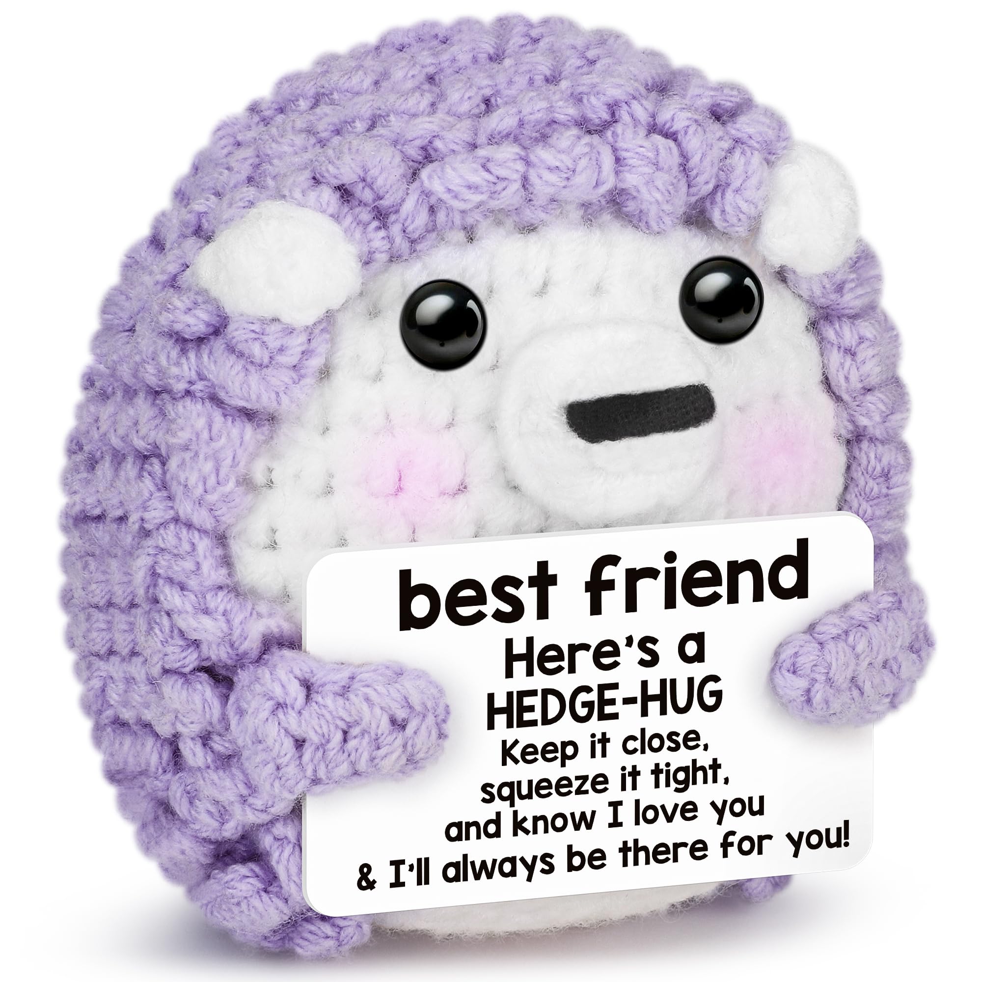 Sensi Blue Galentines Day Gifts for Best Friend,Funny Hedgehog Friendship Gift for Women Bestie BFF Coworker,Valentines Day Birthday Present Ideas,