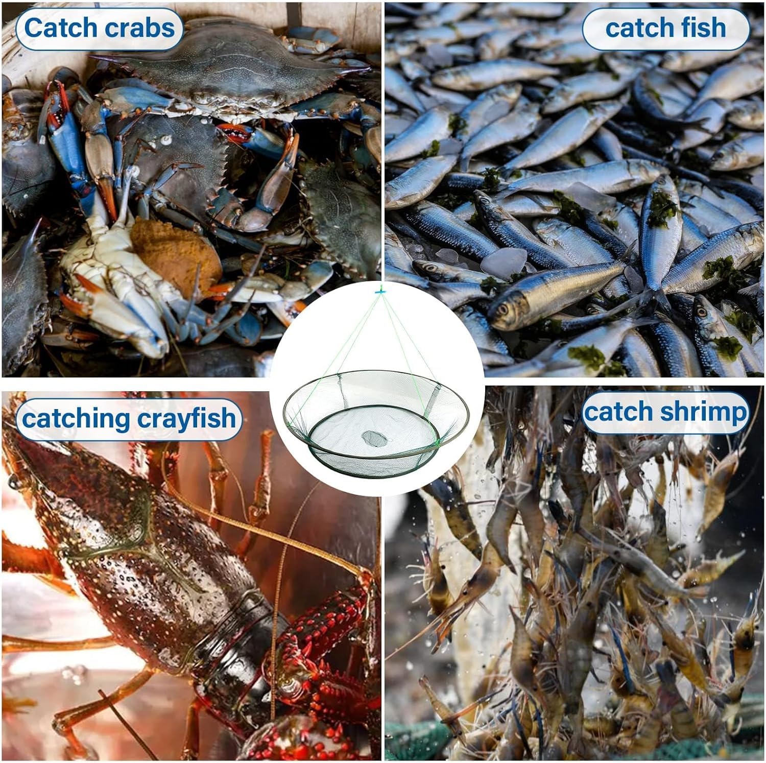 Rete portatile per granchi e cestino, trappola da pesca pieghevole per pesciolini, gamberi, gamberetti