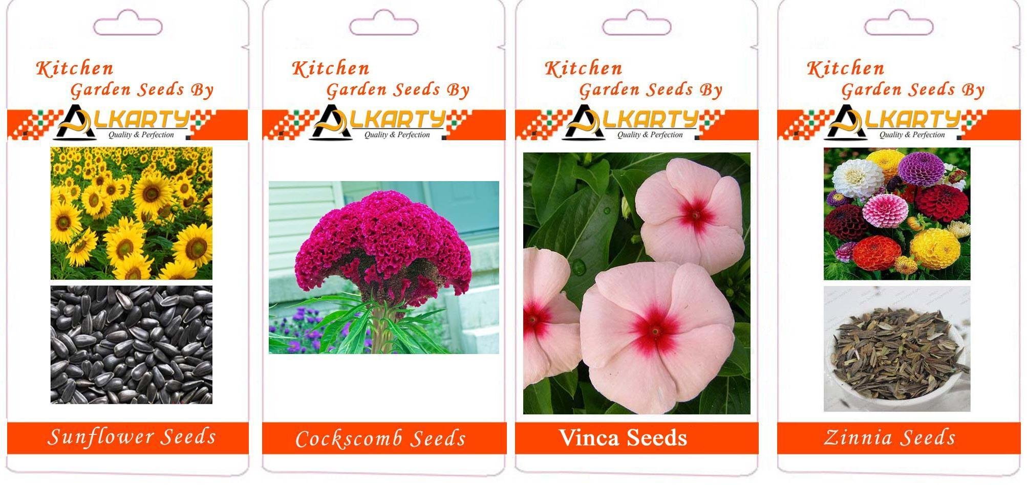 Sunflower, Cockscomb, Vinca, Zinnia Summer Flower Seeds Pack of 20 Each-image-48