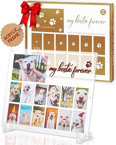 LOOKEY Marco de fotos acrílico para perros, marco de recuerdo de mascotas, regalo conmemorativo para mascotas por pérdida de perro, marco de collage