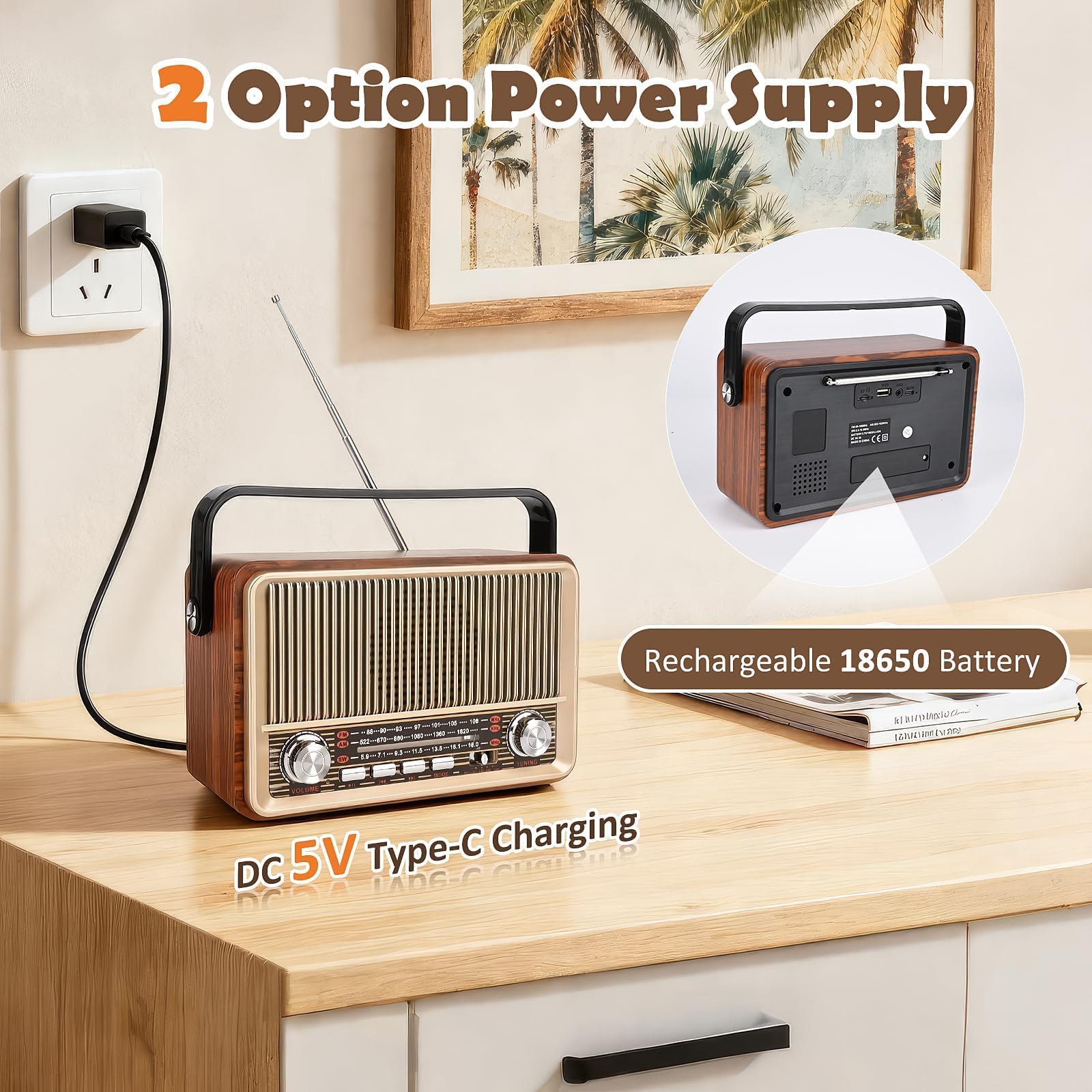 Radio Vintage Bluetooth Altoparlante Portatile con Lettore USB/TF/AUX Batteria Ricaricabile