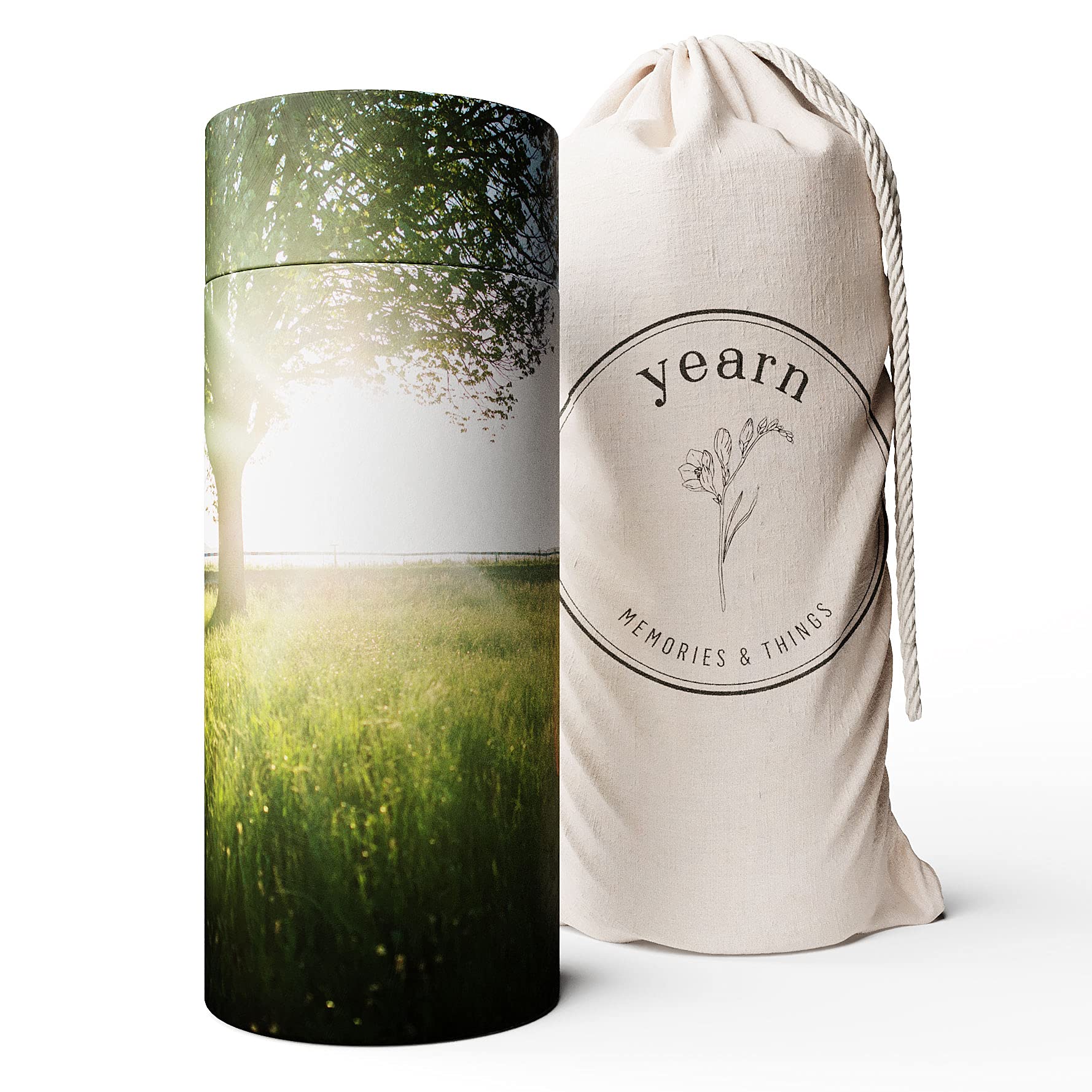 Yearn Biodegradable Ash Scattering Cremation Pet Urns - Cremation Ash Containers for Dogs and Cats - 10 x 4-inch Medium Box – Memorial Cremation Keepsake Urn for Cat or Dog Ashes