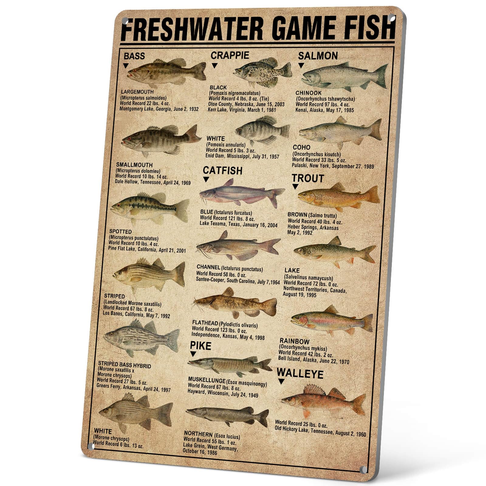 HYBLOM Fishing Gifts Vintage Freshwater Game Fish Knowledge Metal Sign for Man Cave, Boys Room, Lake House Cabin Hunting Wall Decor 8x12 Inch