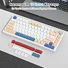Custom Gaming Keyboard 75 Percent Hot-Swap Wired Mechanical RGB Keyboard with Seal and Sound Absorbing Pads Programmable American QWERTY V400 Soy Milk