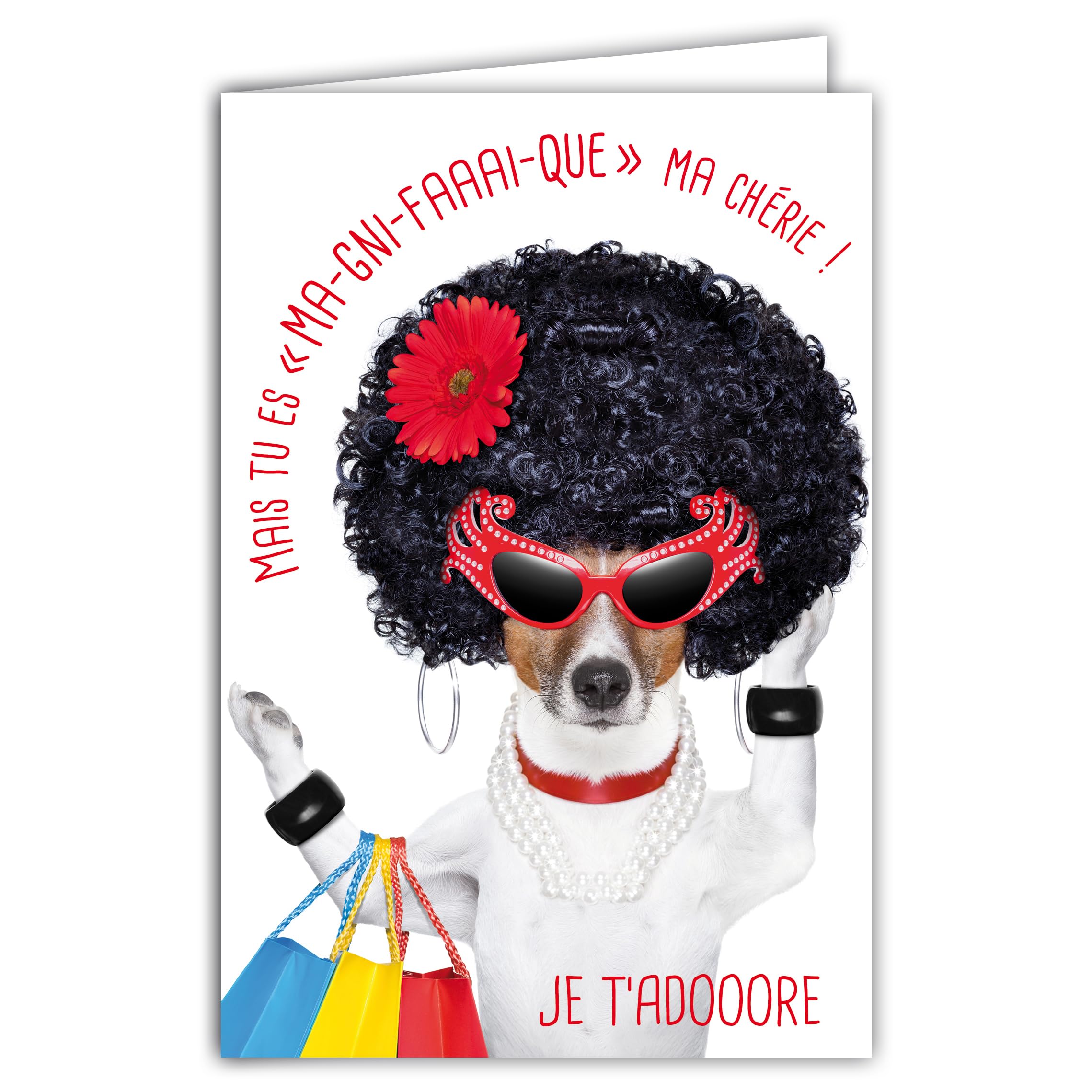 Card for Girl Woman Beautiful Fashionable Queen of Shopping Humorous Message with Illustrated Envelope Size 17.5 x 12 cm Funny Dog Funny Funny Funny Fancy Dress Design Made in France 69-6218