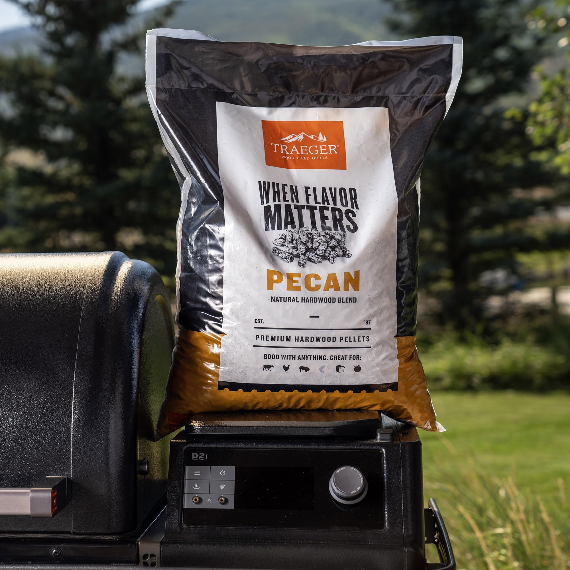 Traeger Grills Granulés de Bois de Noix de pécan 100% Naturel pour fumoirs et Grills à granulés, Barbecue, Cuisson, rôti et Grill, Sac de 8,2 kg
