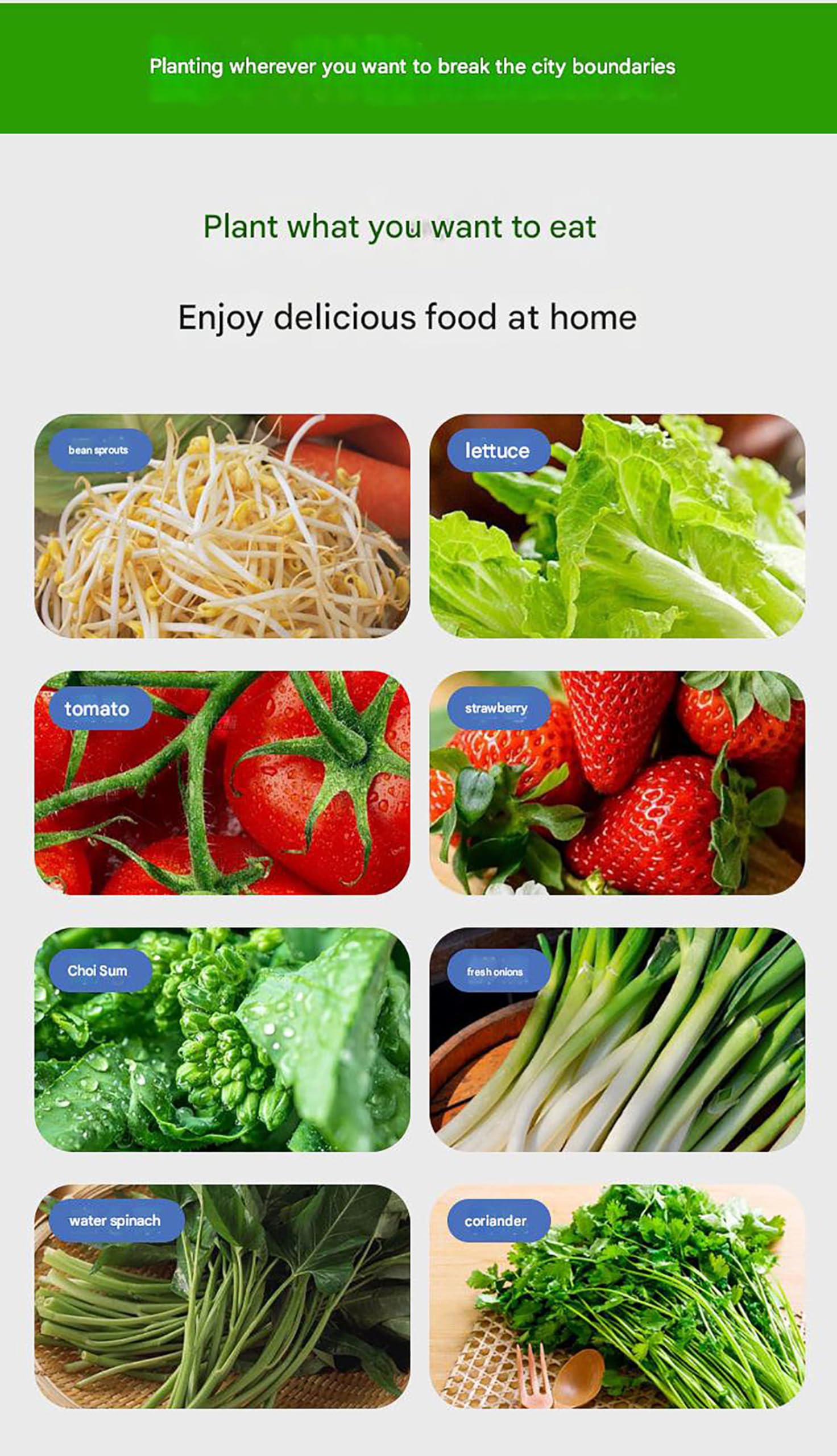 Kit de Sistema de Cultivo hidropónico de 64/80 Plantas, para Hierbas y hortalizas, para Plantas de Interior, para Hierbas sin Tierra, para Aficionados a la jardinería.