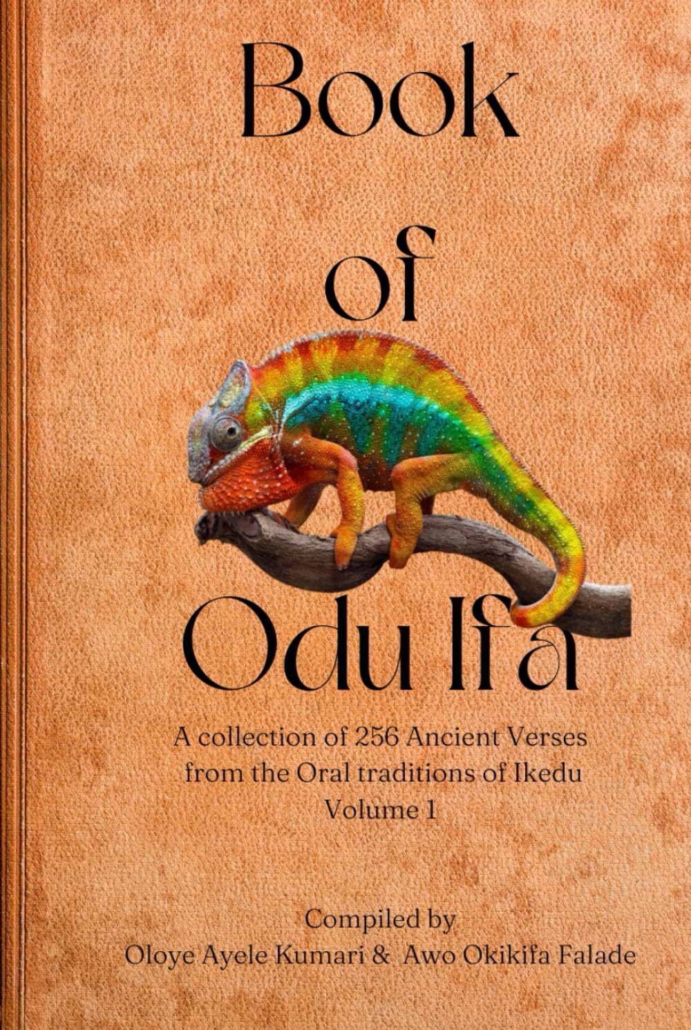 Book of Odu Ifa: A collection of Ifa Verses from the Oral tradition of Ikedu