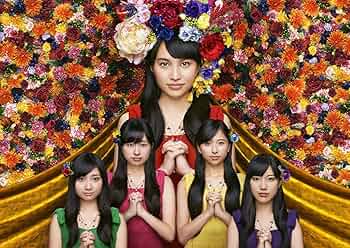 ももクロDVDセット2010〜2016おまけ付き ももクロDVDセット2010〜2016おまけ付き ももクロDVDセット2010