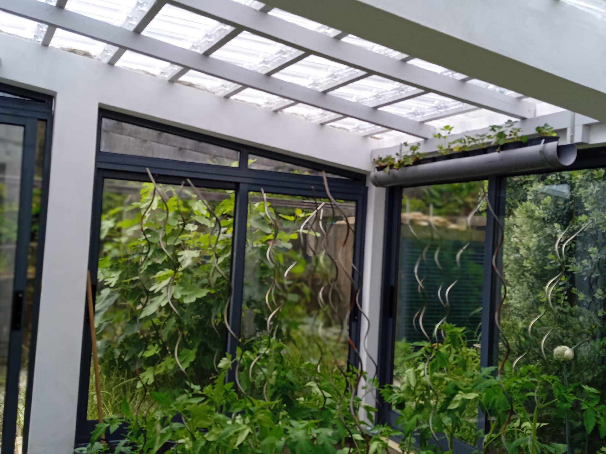 Teja de vidrio Marsellesa | Dimensiones: mm 255x426 | Unidad de venta: caja con 8 tejas Marsellesa