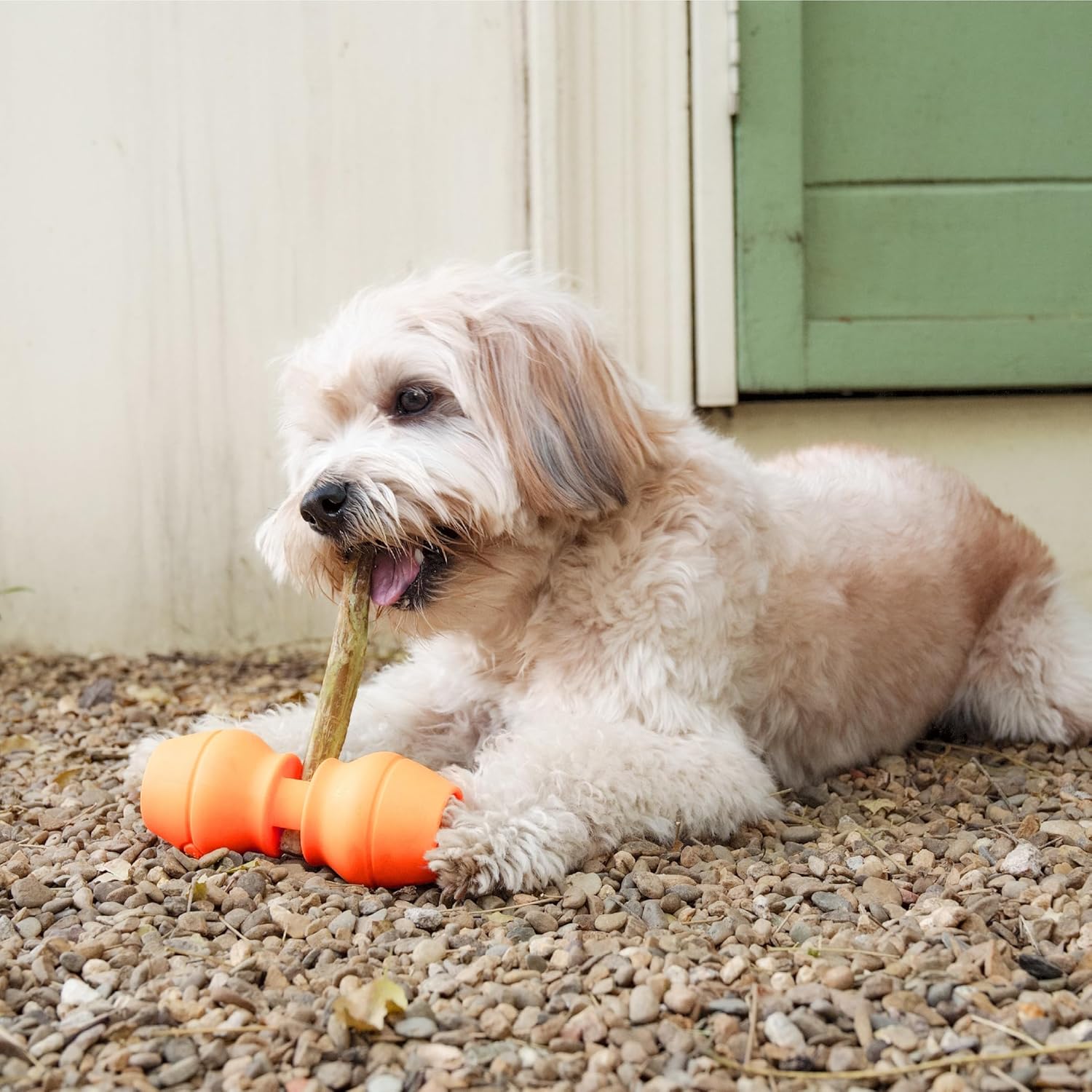 Chewise Bully Stick Holder