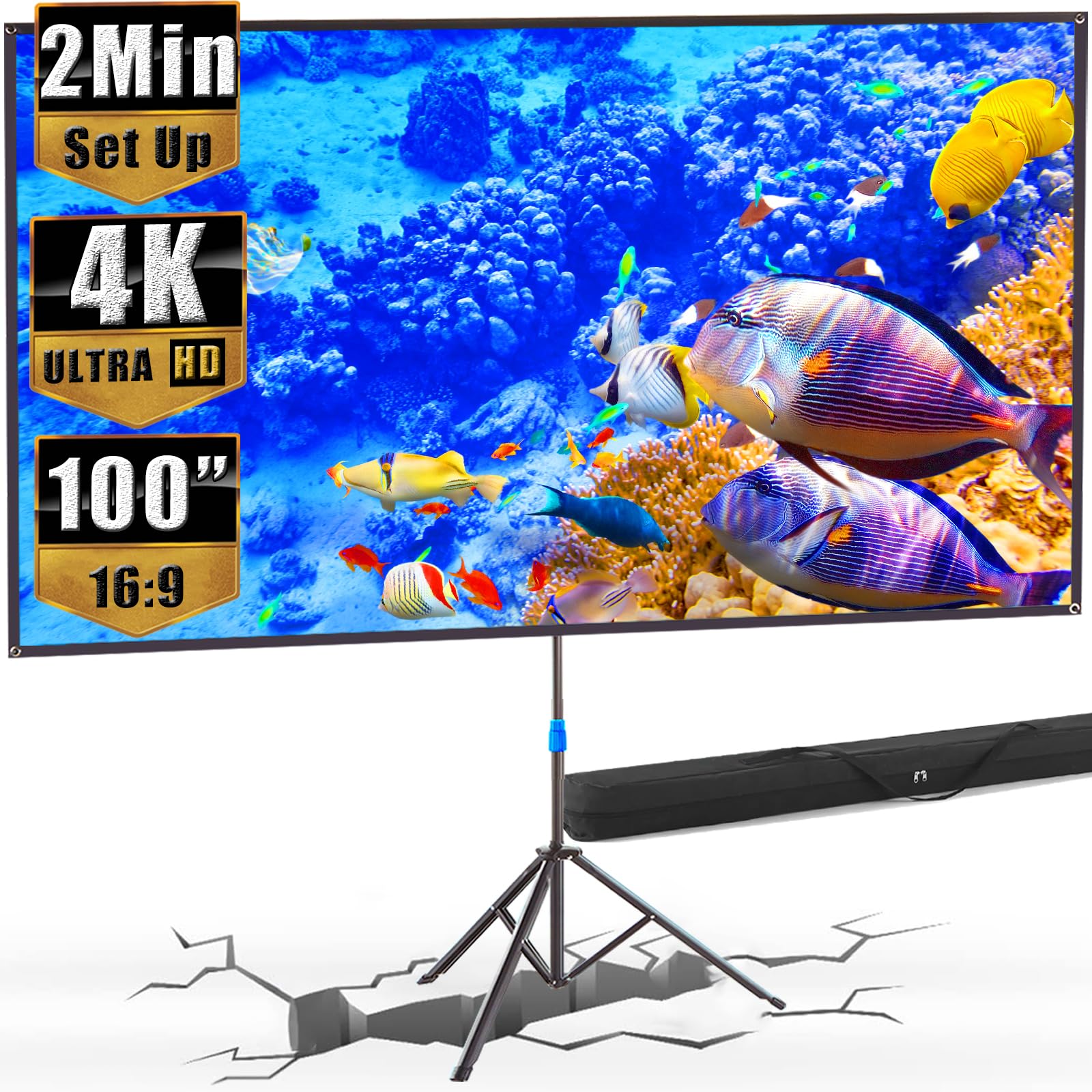 https://m.media-amazon.com/images/I/81Ii05BjhkL.jpg