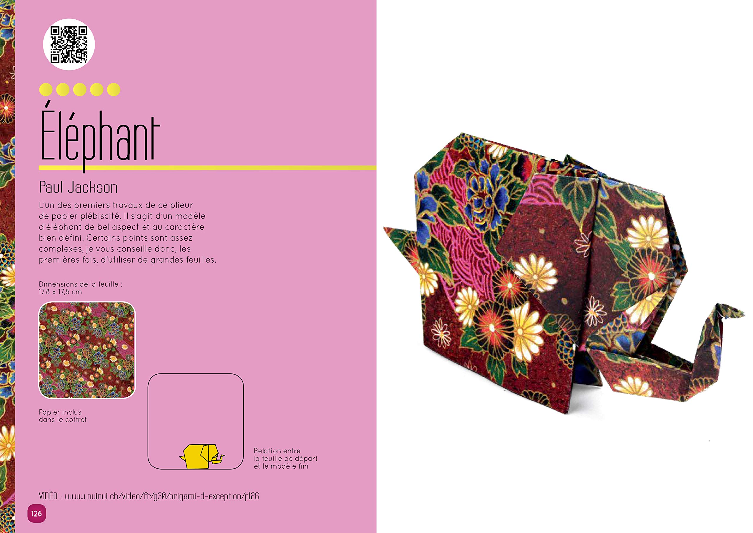 Origami d'exception: Avec 100 feuilles de papier origami