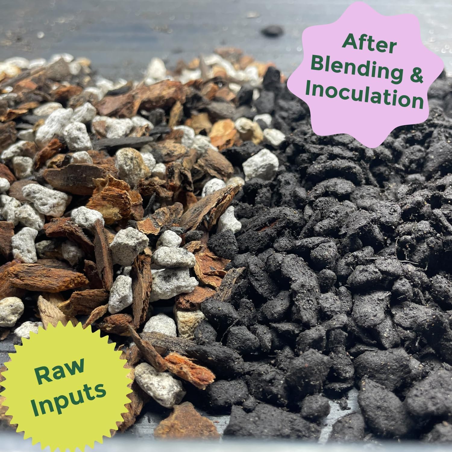 Cactus and Succulent Organic Potting Soil Mix for House Plants - Fast Draining, Root Boosting, Peat-Free, Less Prone to Gnats - Drought-Tolerant - Growth of Aloe Vera, Cacti and Indoor Succulents- 4qt - Image 6