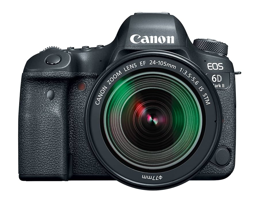 Canon EOS 6D Mark II ボディEF24-105mm 81Ii7CoyTRL._UF894,1000_QL80_.jpg