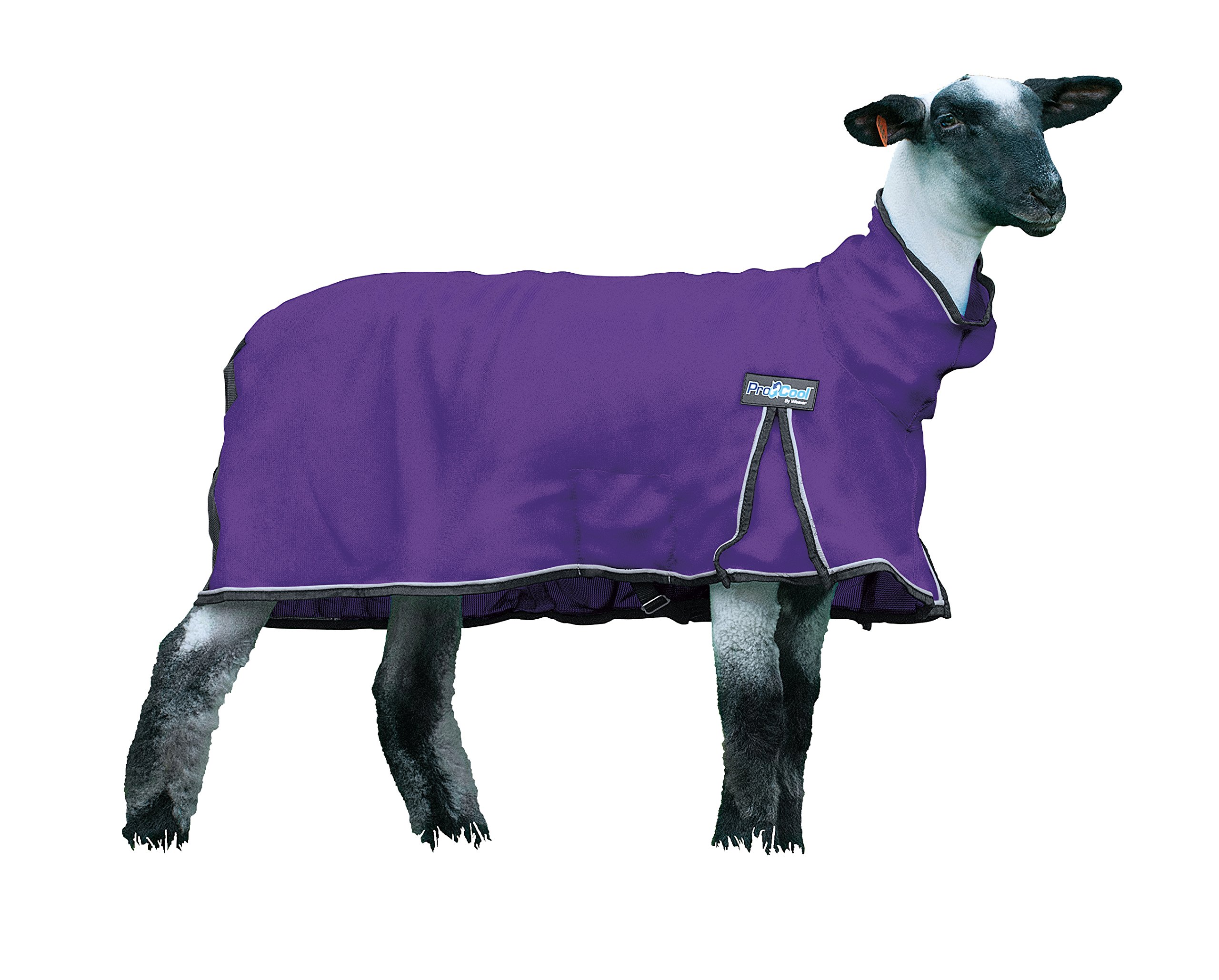 Weaver Livestock ProCool™ Sheep Blanket