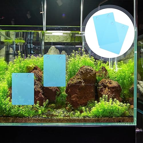 Miniatura 3 de POPETPOP Plato de disco de pez ángel para cría de peces de pizarra, pizarras de desove para acuario, paisaje, pecera, puesta de huevos