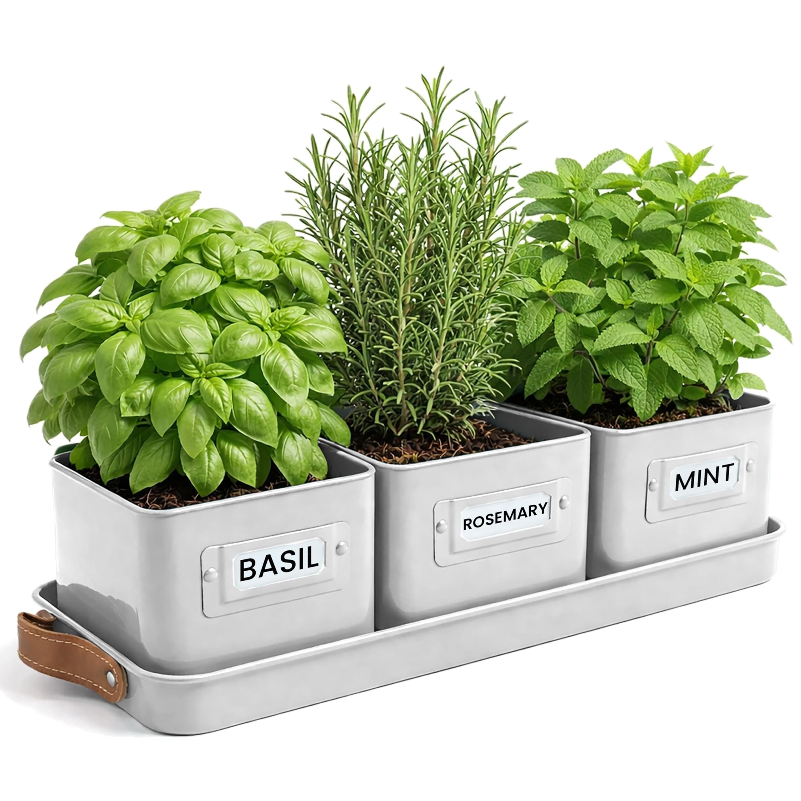 Green Thumbz Jardinière Herbes Aromatiques avec Poignée en Cuir - Idéal pour Basilic en Pot Herbes Aromatiques à Planter - avec Bac de Récupération et Trou de Drainage (Blanc)