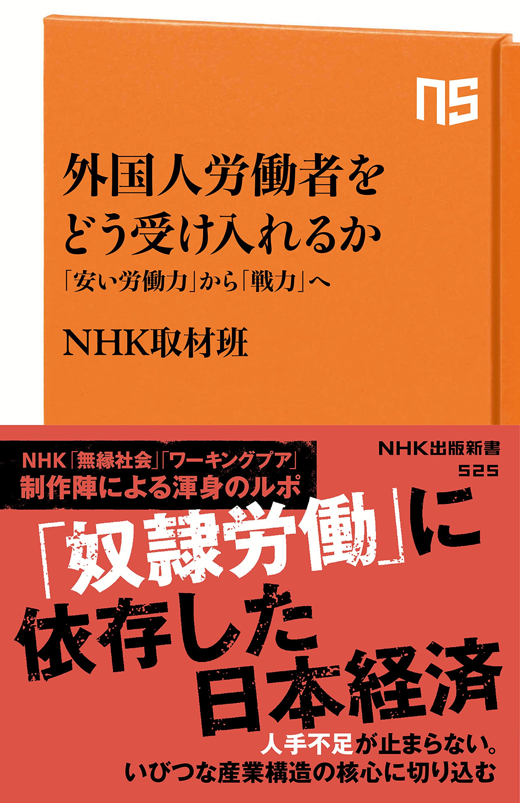 外国人労働者をどう受け入れるか―「安い労働力」から「戦力」へ (NHK