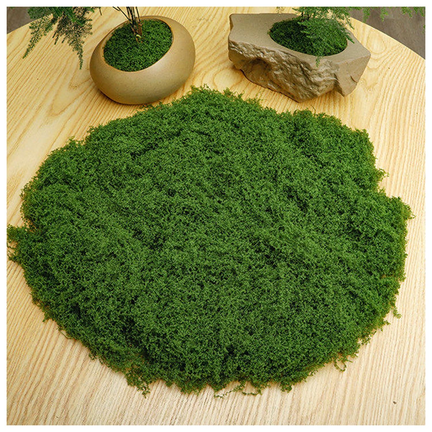 DIWAL Artificial Moss for Potted Plants Decor, Faux Moss for Crafts, DIY Decorative, Walls,Table Centerpieces Decor Fairy Garden Model Making(Dark green,50g)