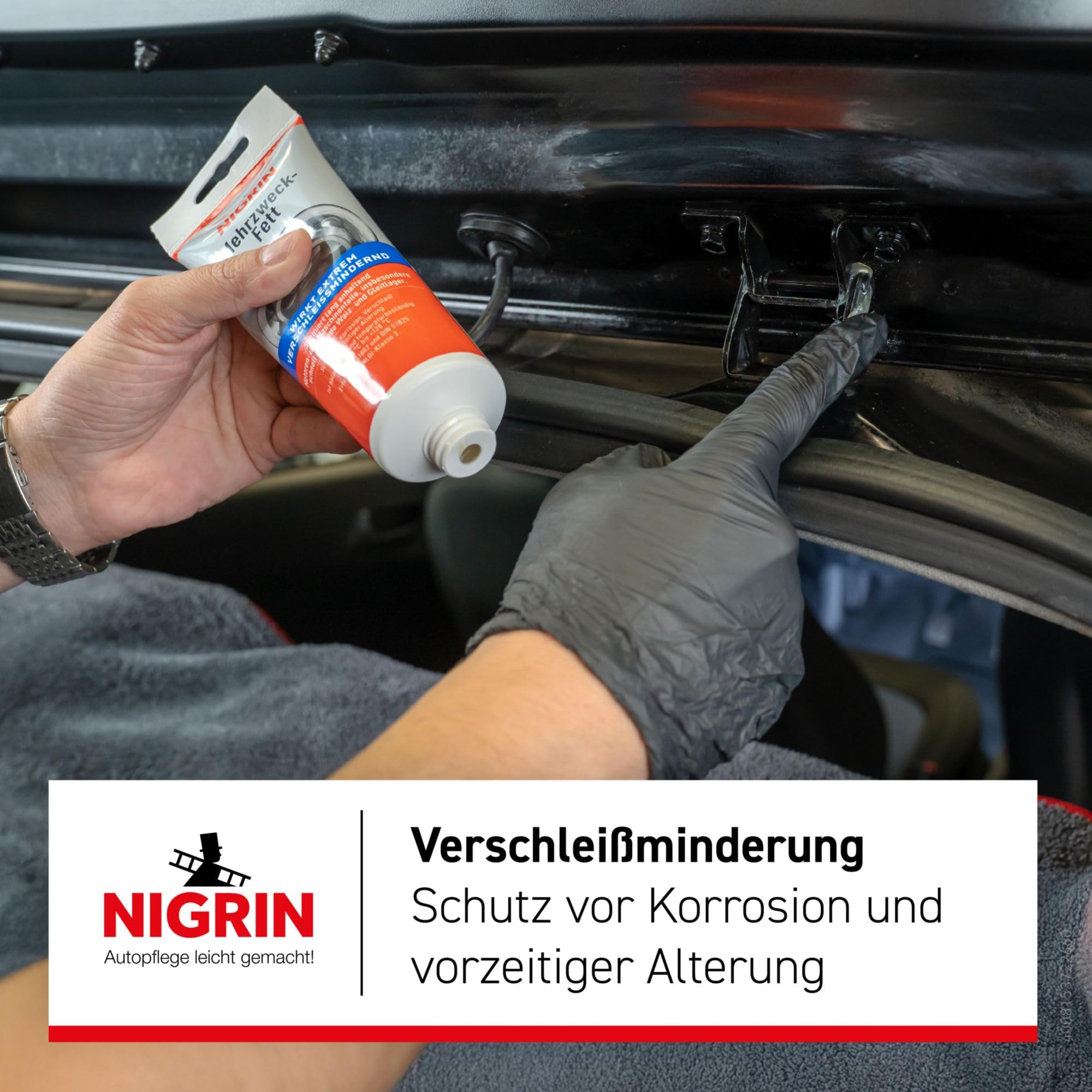 NIGRIN Grasa multiuso, tubo de 50 g, protege los motores de la corrosión y el envejecimiento, resistente a la temperatura de -30°C a +120°C