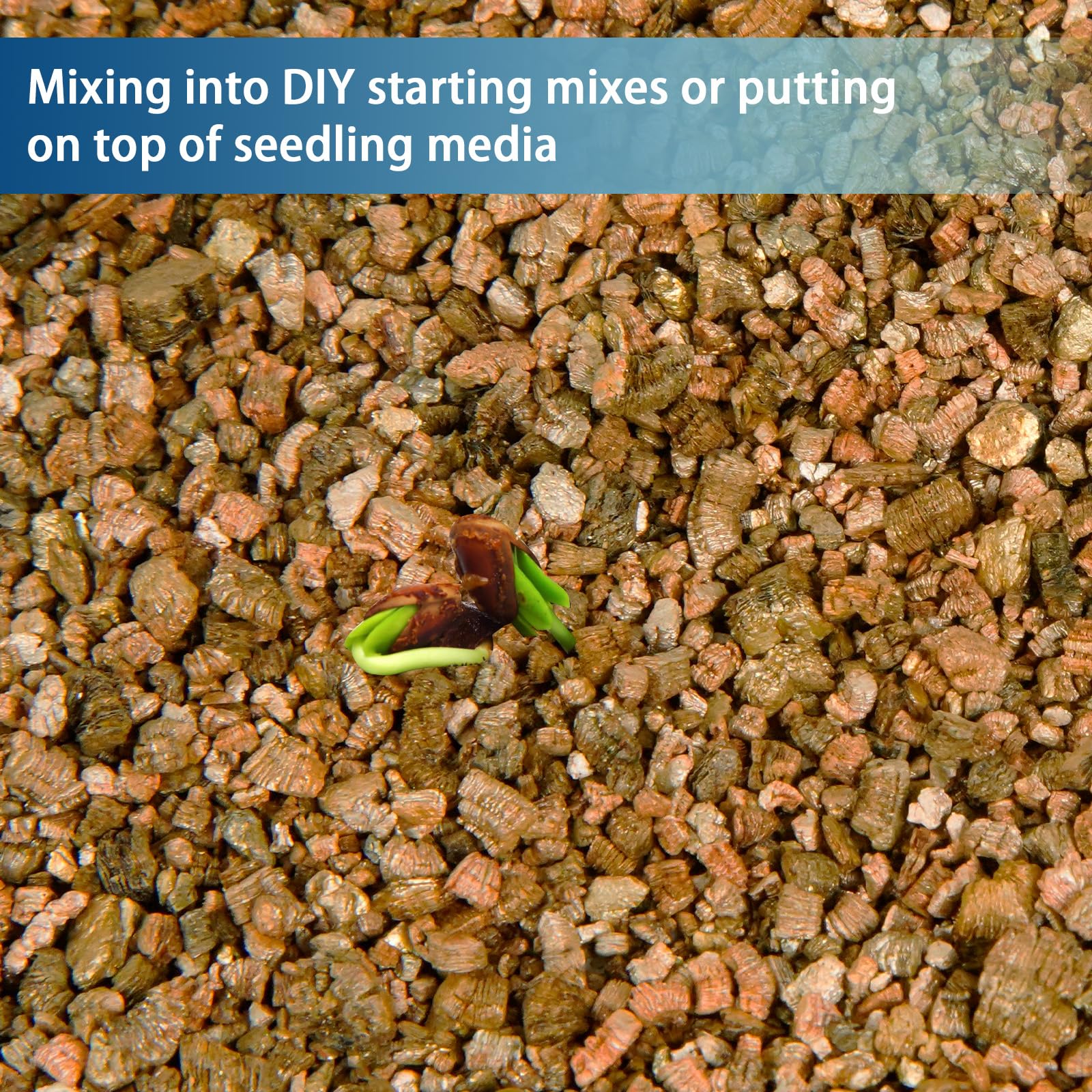 GOTVUGE Vermiculite for Gardening Coarse Vermiculite for plant propagation Cutting and Seed Starting - Image 4