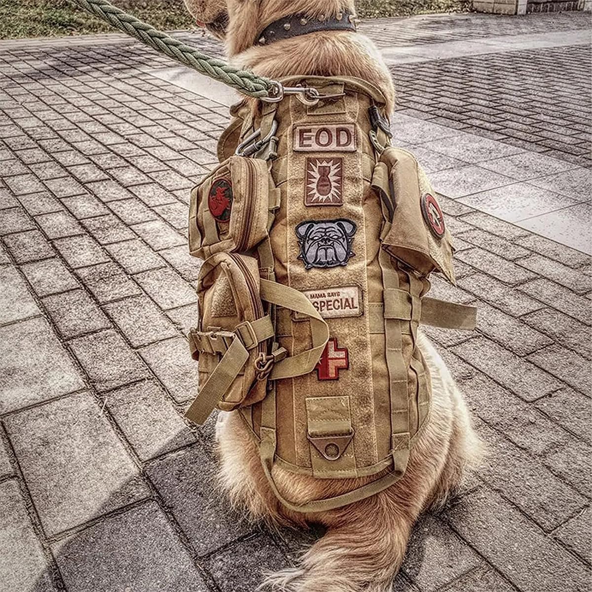 Arnés táctico para perro, resistente con 3 bolsas Molle y 1 correa elástica para perro