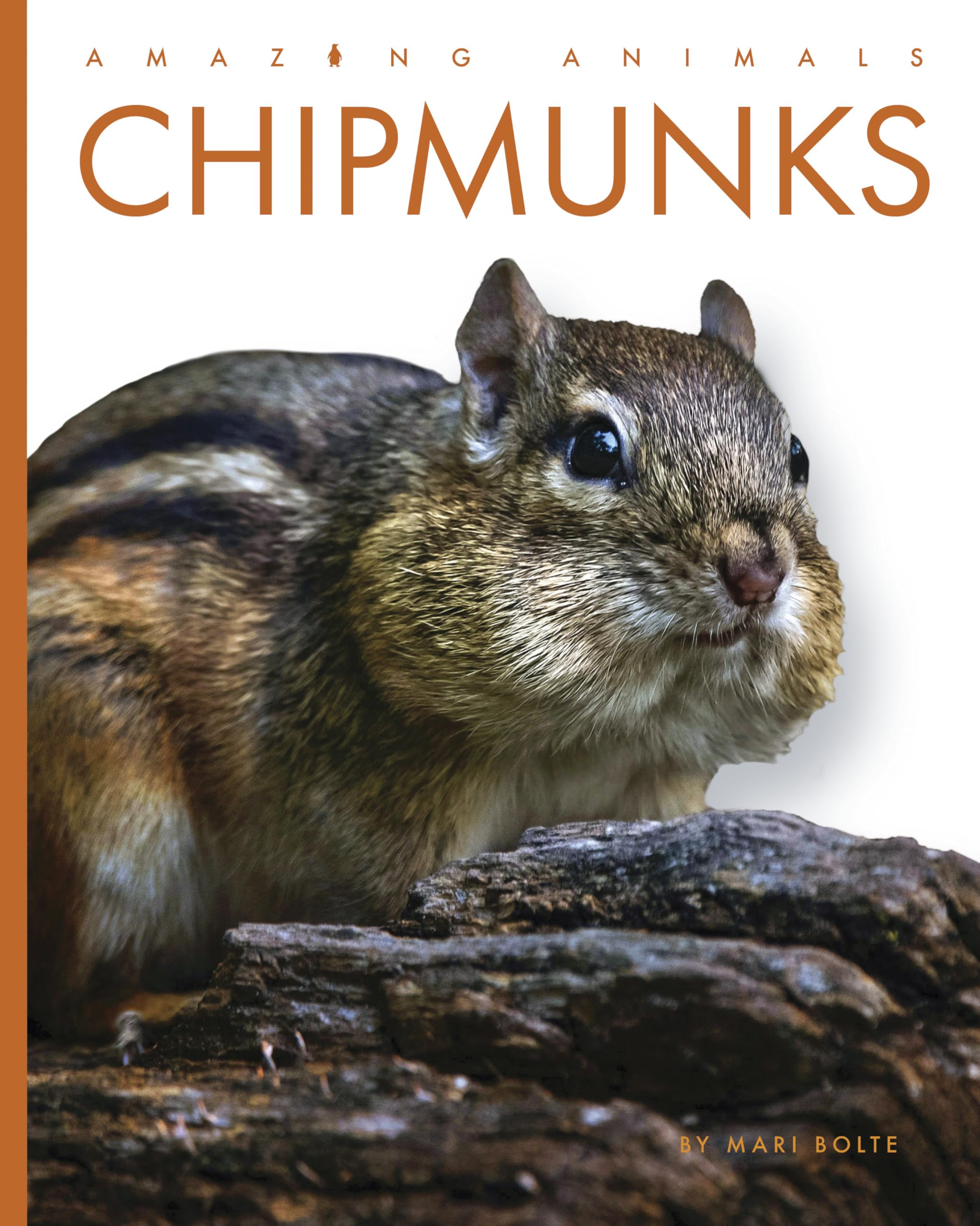 Chipmunks (Amazing Animals)