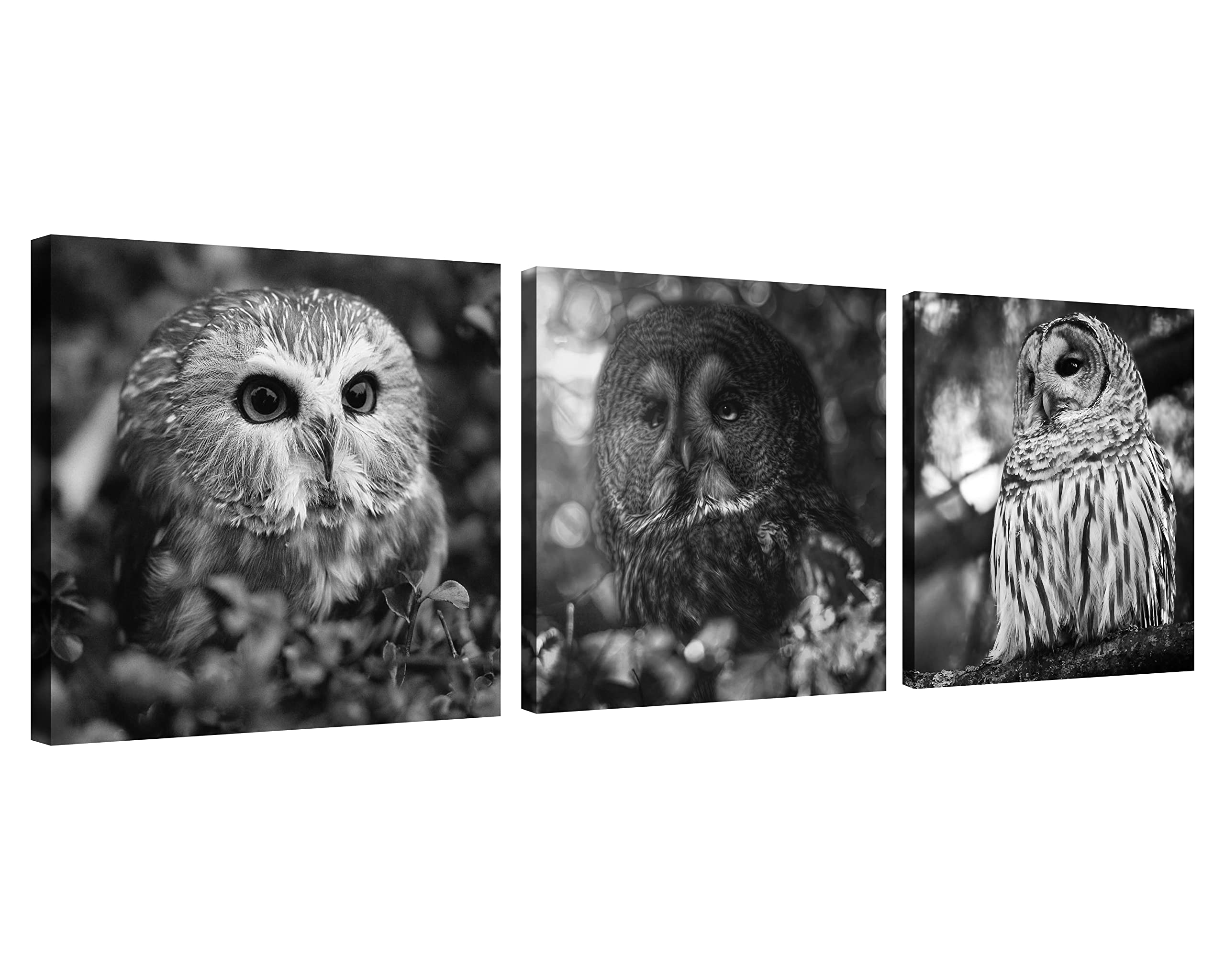 NAN Wind3 Pcs Framed Black and White Owl Canvas Wall Art, 12x12 inches, Home Office, Living Room, Bedroom Decor