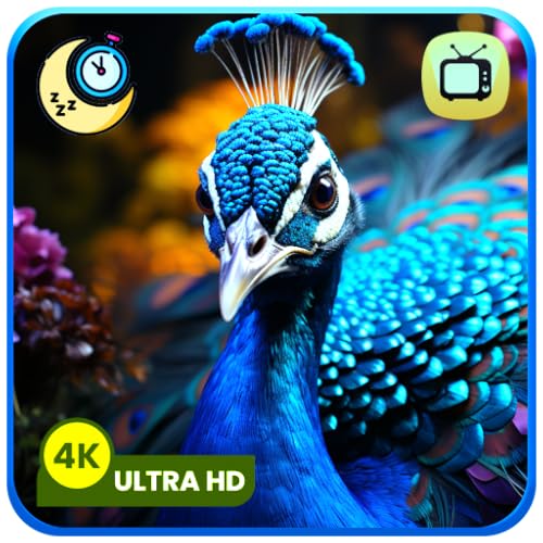 Amazing Colorful Peacock TV Screensaver with Calming Sounds & Sleep Timer