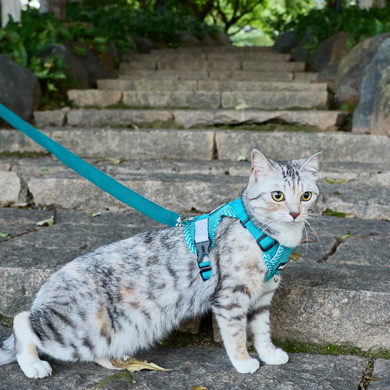 Pettorina e guinzaglio per gatti a prova di fuga, piccola imbracatura abissino per gatti abissini, per passeggiate e viaggi, turchese, S