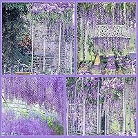 Vista 7 de Guirnalda de glicina artificial, paquete de 12 flores artificiales de 3.6 pies, flores artificiales de seda de vid de glicina falsas para decoración